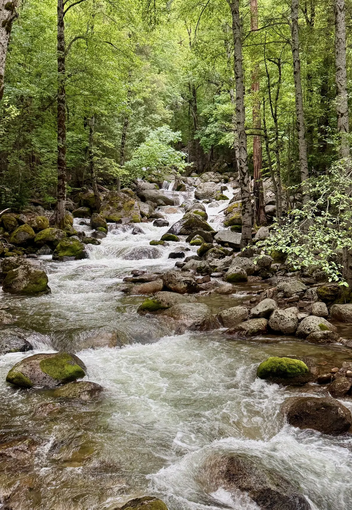 <p>Stock Trail 上的小溪</p>
